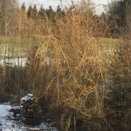 Privatzimmer Vermietung Helmut Buergmann Kirchberg bei Mattighofen Exterior photo